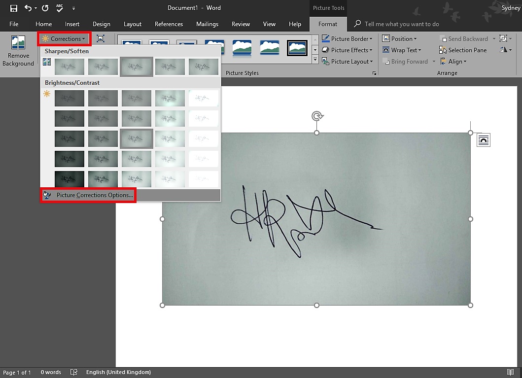 How To Remove Signature Background Using Microsoft Word In 3 Quick Steps Dignited