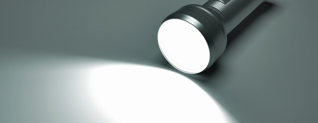 Dignited flashlight