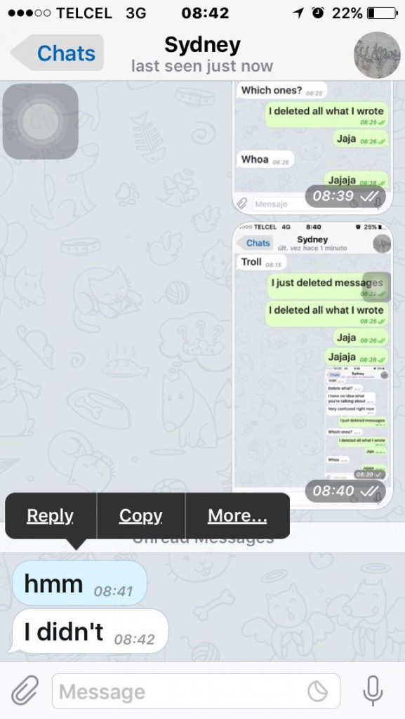 This iPhone Telegram user deleted her chat history and