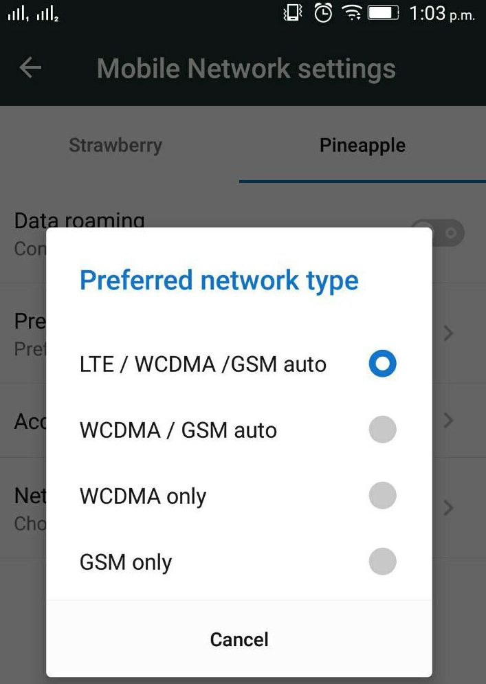 4G lTE Prefered network type