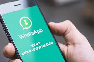 Stop Whatsapp media auto-download