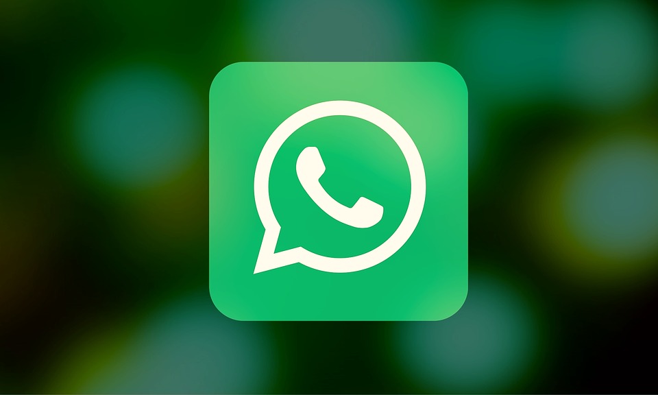 Whatsapp__introduce, search_image_feature