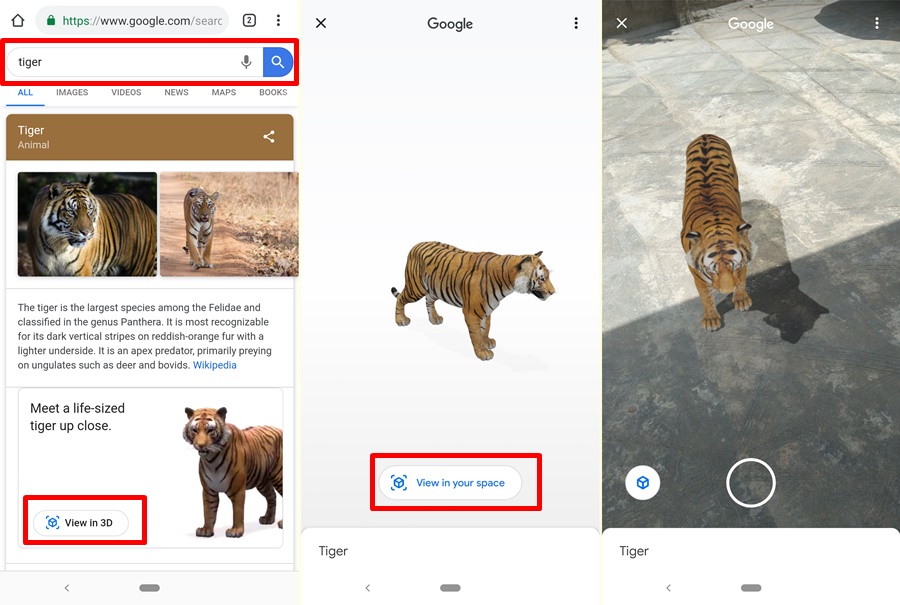 Here's how to look at life-size animals in AR through Google