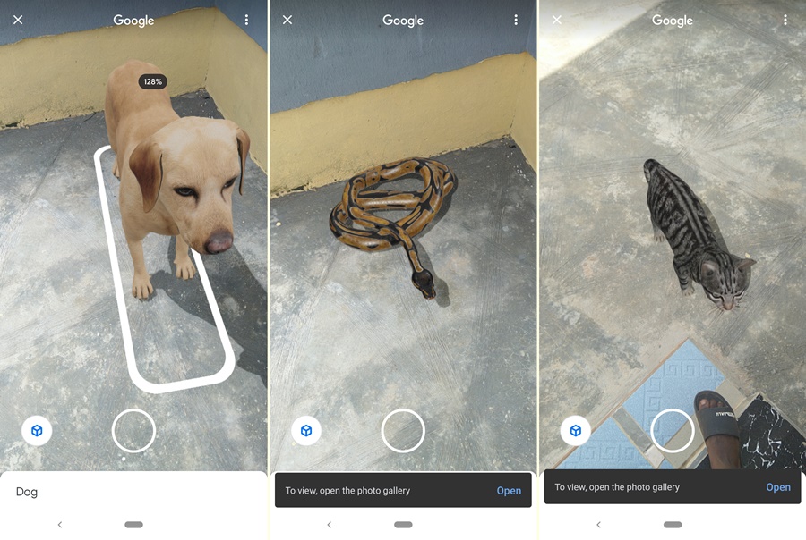 Here's how to use Google Search AR feature to view life-sized animals &  objects - Dignited
