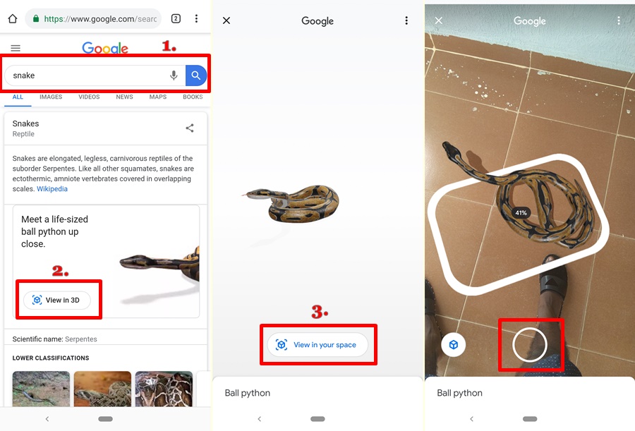 Here's how to look at life-size animals in AR through Google
