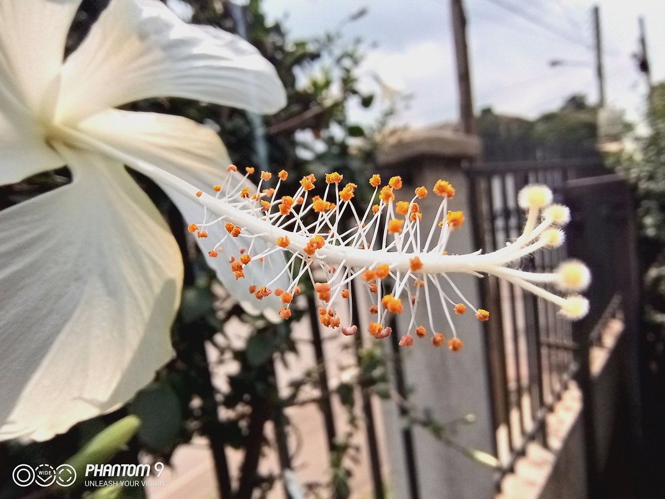 TECNO Phantom 9 Review  Under Display fingerprint magic - 8