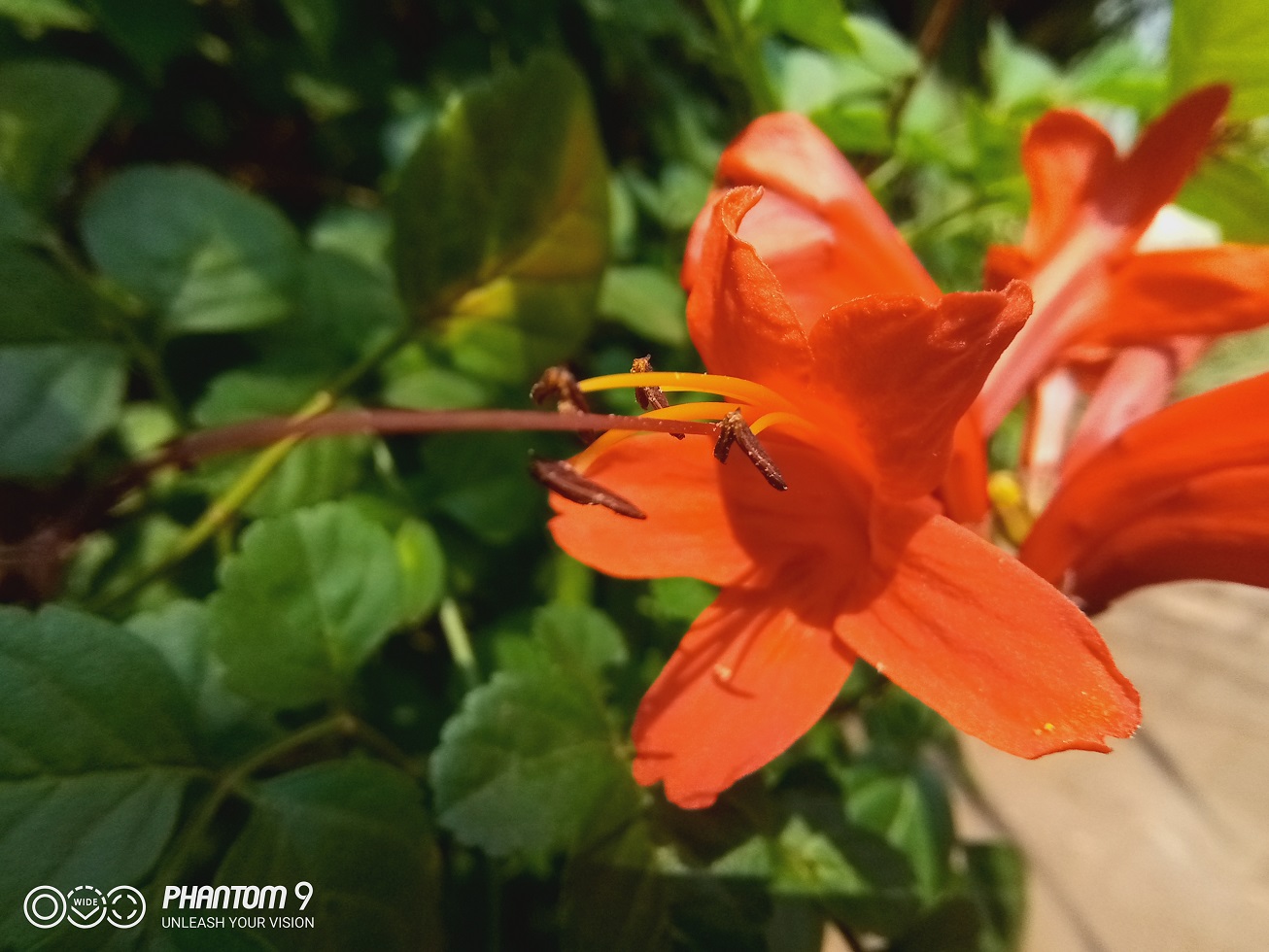 TECNO Phantom 9 Review  Under Display fingerprint magic - 28