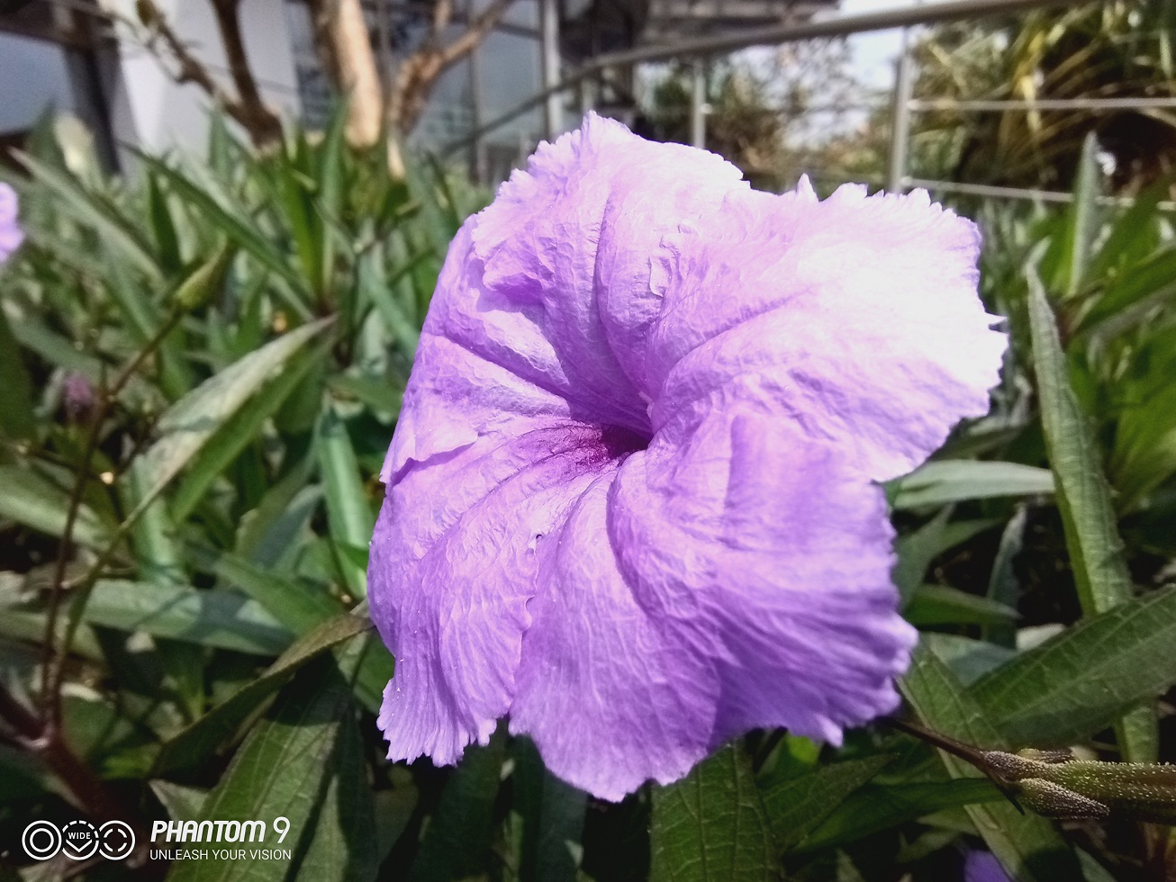 TECNO Phantom 9 Review  Under Display fingerprint magic - 72
