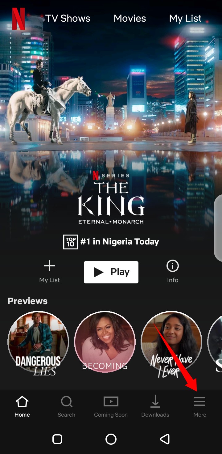 netflix mobile app