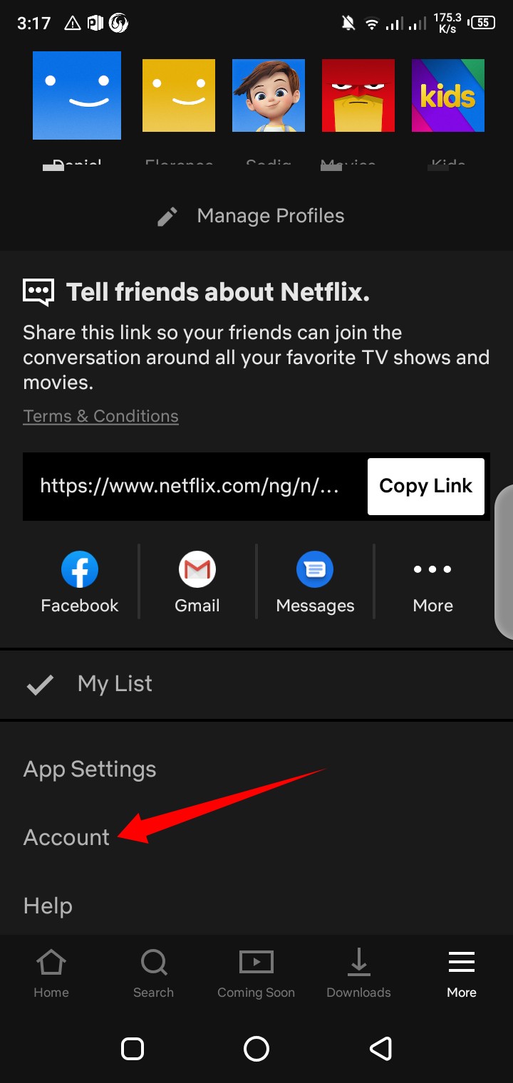 Netflix mobile app