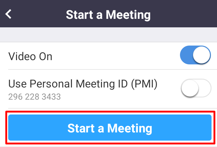 How to Host a Zoom Meeting  a Step by Step Guide - 29