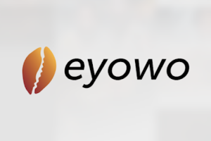 eyowo logo