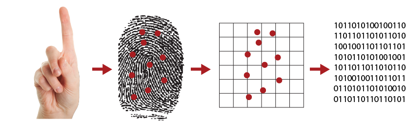 Optical vs Ultrasonic Scanners