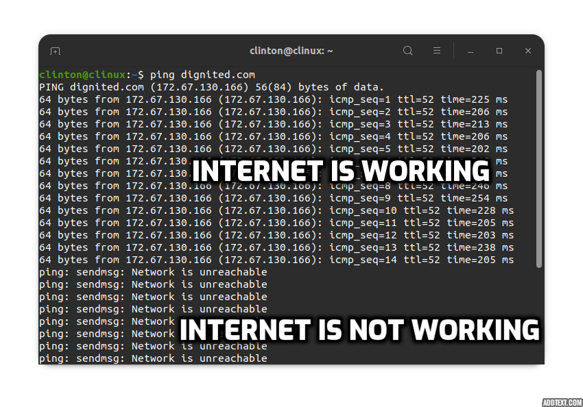 check if internet is working