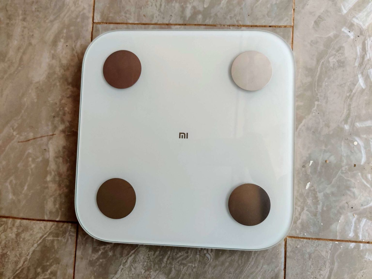 Mi Body Composition Scale 2 Review - Dignited