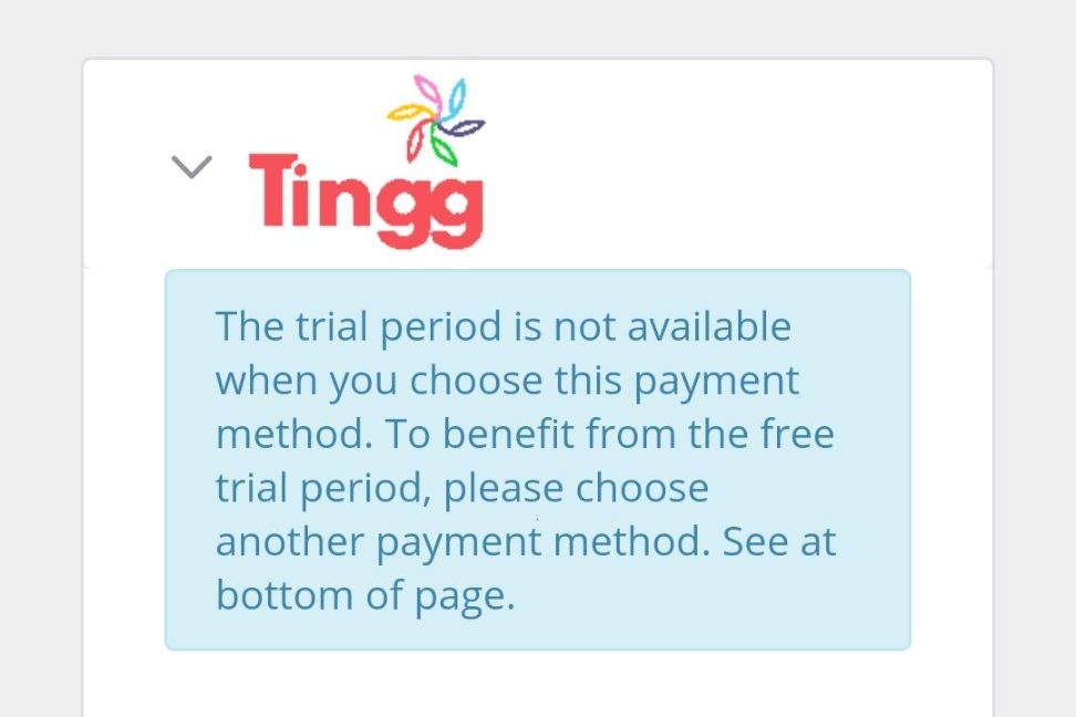 Tingg payment options