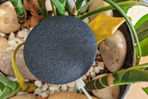 Google Home Mini