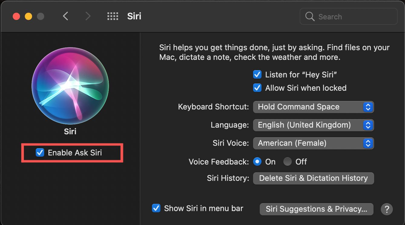 How to Use Siri On Your MacBook Dignited