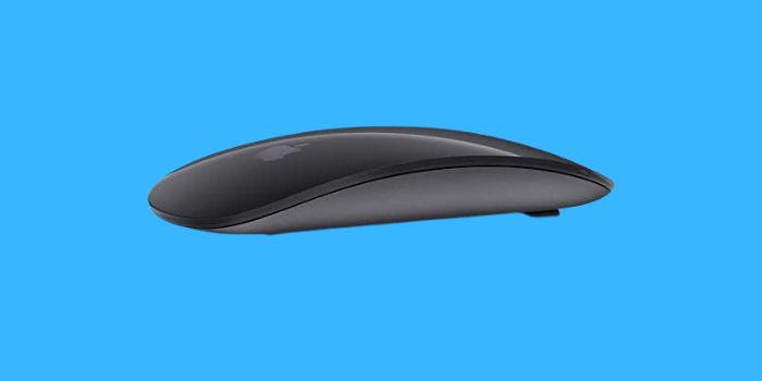 Apple magic mouse best macbook accessories 2022