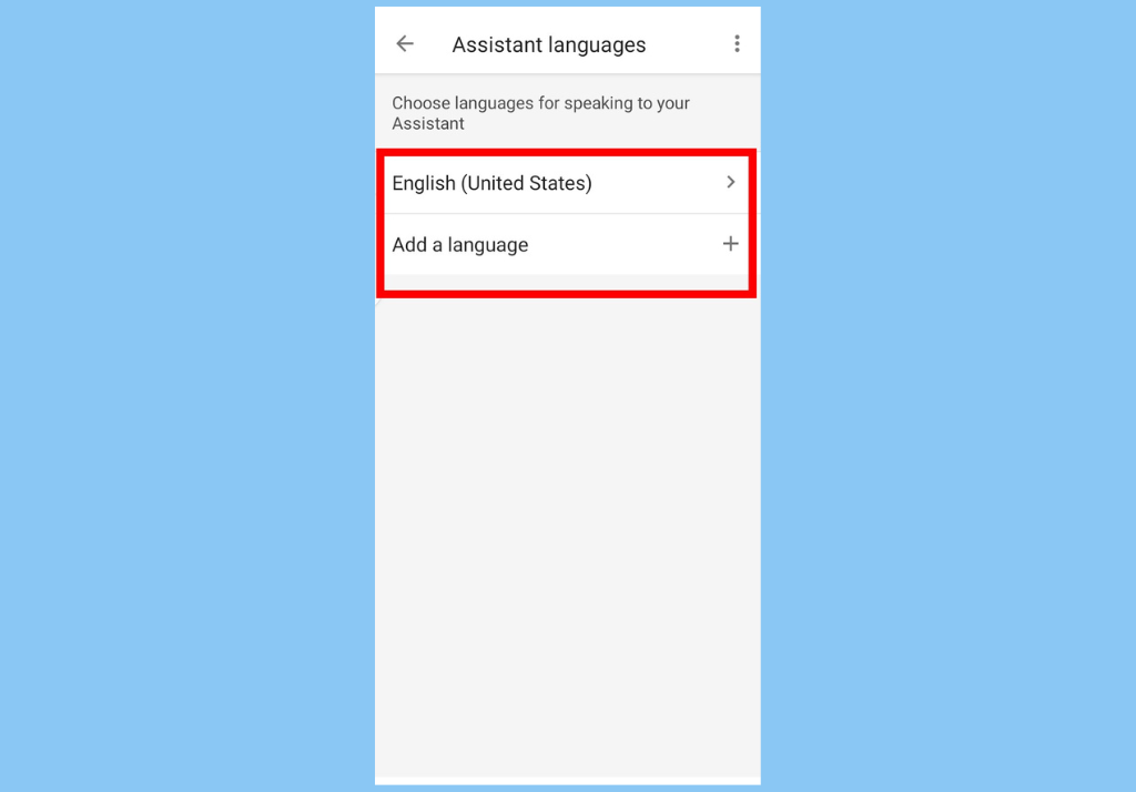 Google Assistant Voice & language