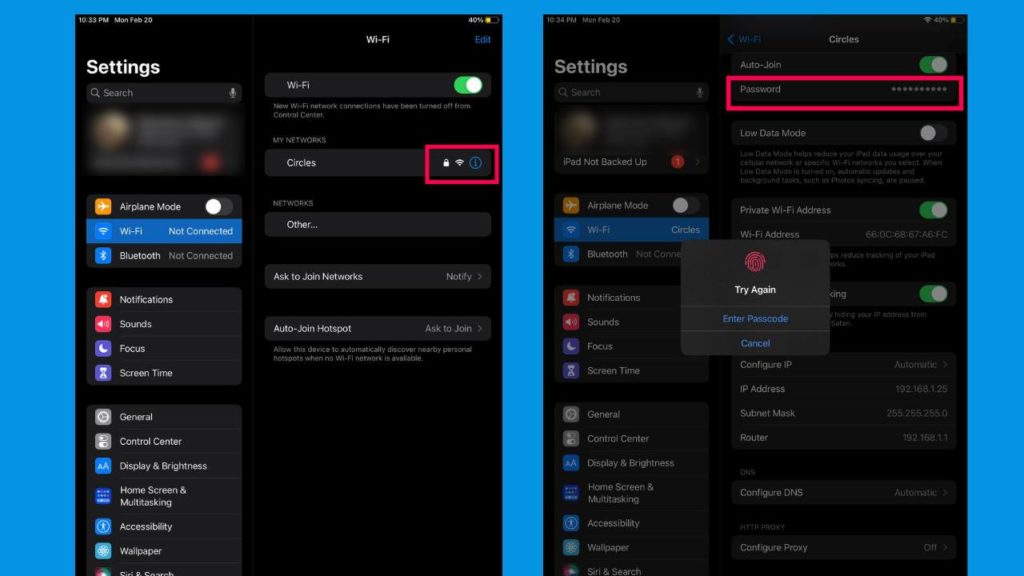 Reveal WiFi Passwords on iPads
