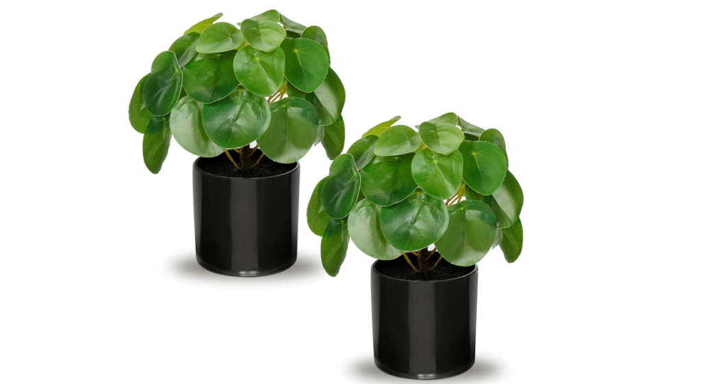 Artificial Chinese Money Plant