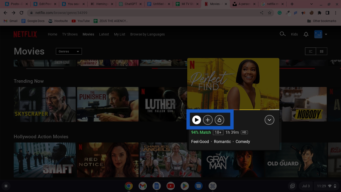 Netflix Add to my list button