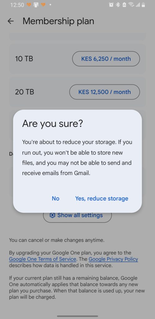 are you sure you want to downgrade google one storage